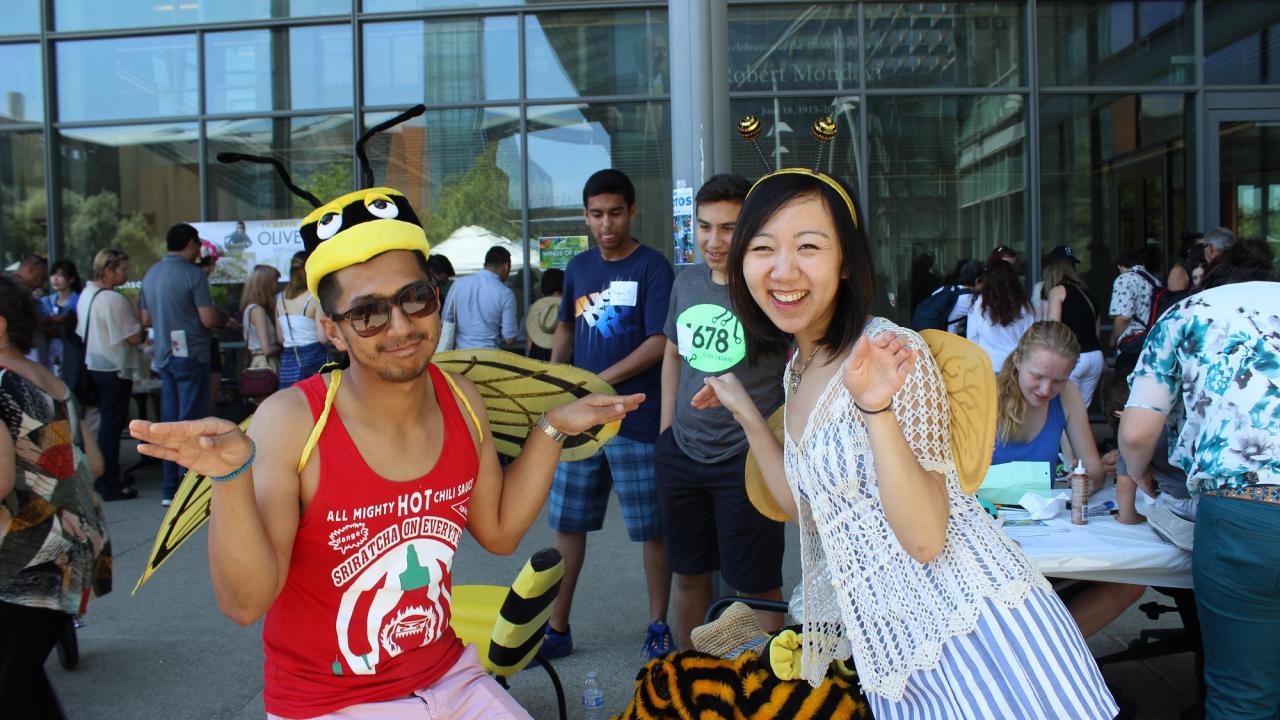 bee