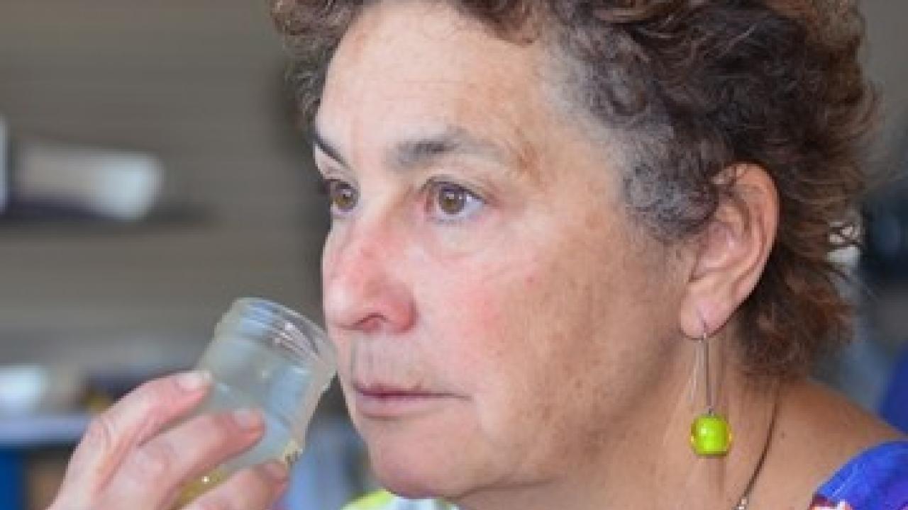 Make way for the Good Food Awards opening July 6, 2015. Article written by Kathy Keatley Garvey on the Bug Squad smelling honey