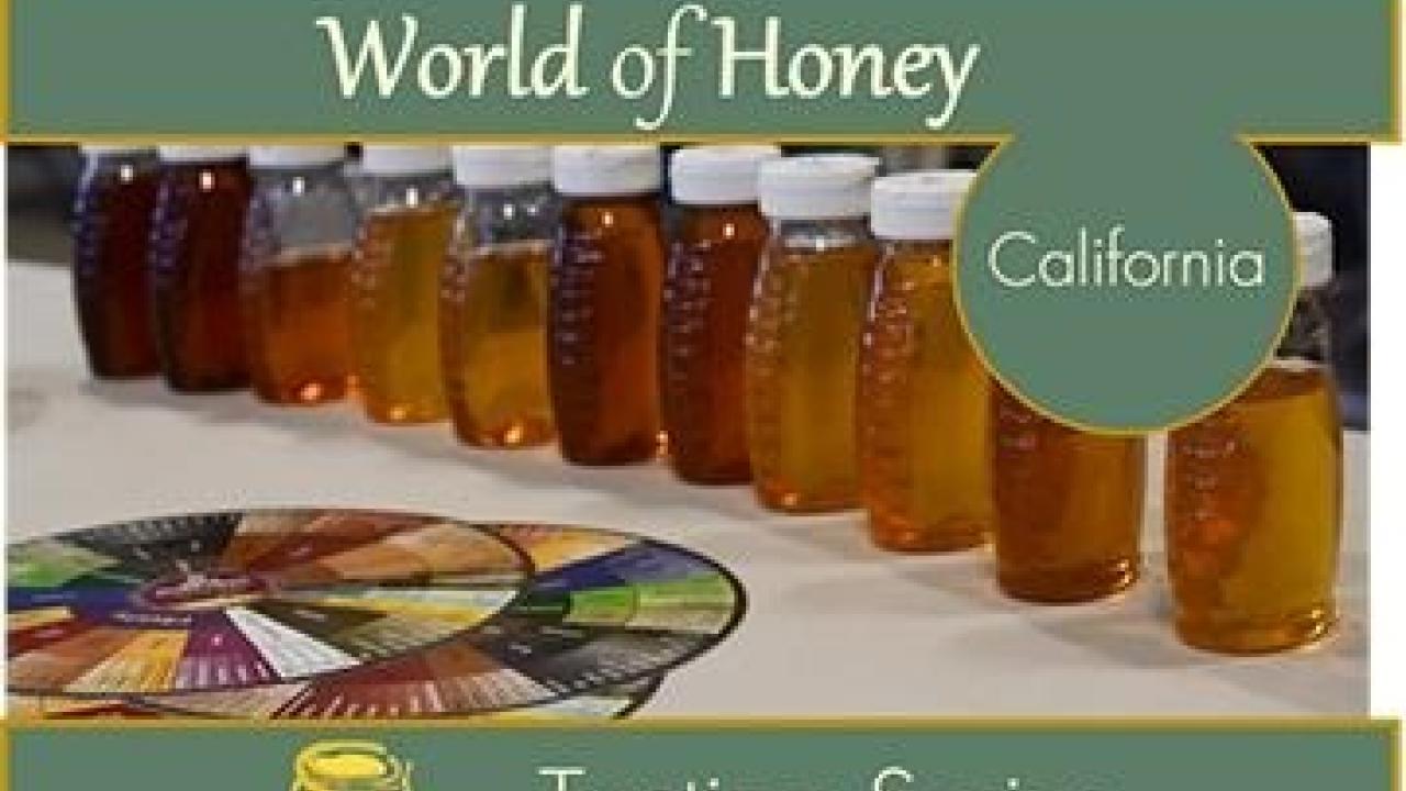 world honey