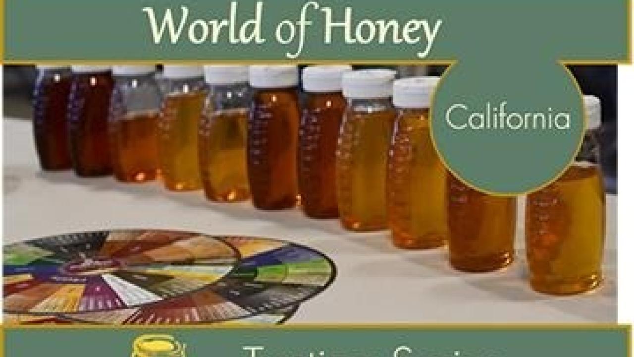 World of Honey California honey tasting on Thursday, October 20, 2016 world honey