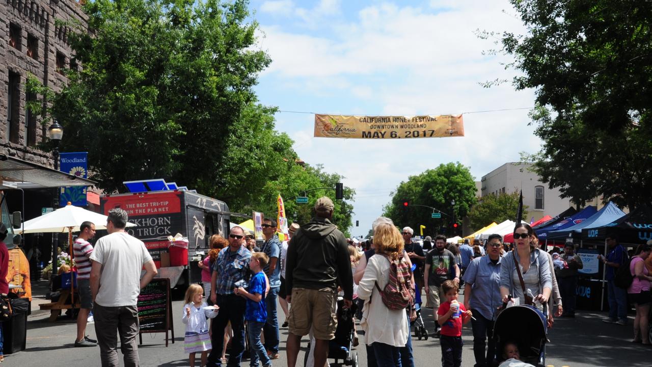 honey festival