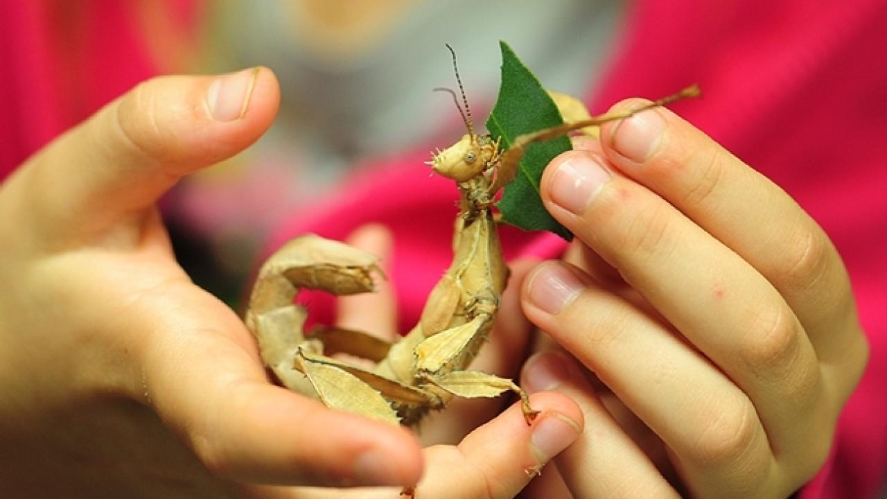 biodiversity